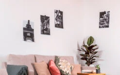 Silwy® Flex Magnethaken Inkl. Metall-Nano-Gel-Pads 5 Cm 8-tlg. Schwarz -Campinggeschirr Zubehör Geschäft 336857 2526568