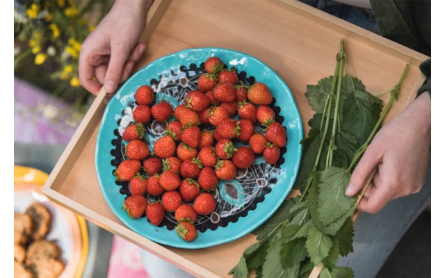 Rebel Outdoor Dessertteller 22 Cm Gelb 3 Rebel Outdoor Dessertteller 22 Cm Gelb